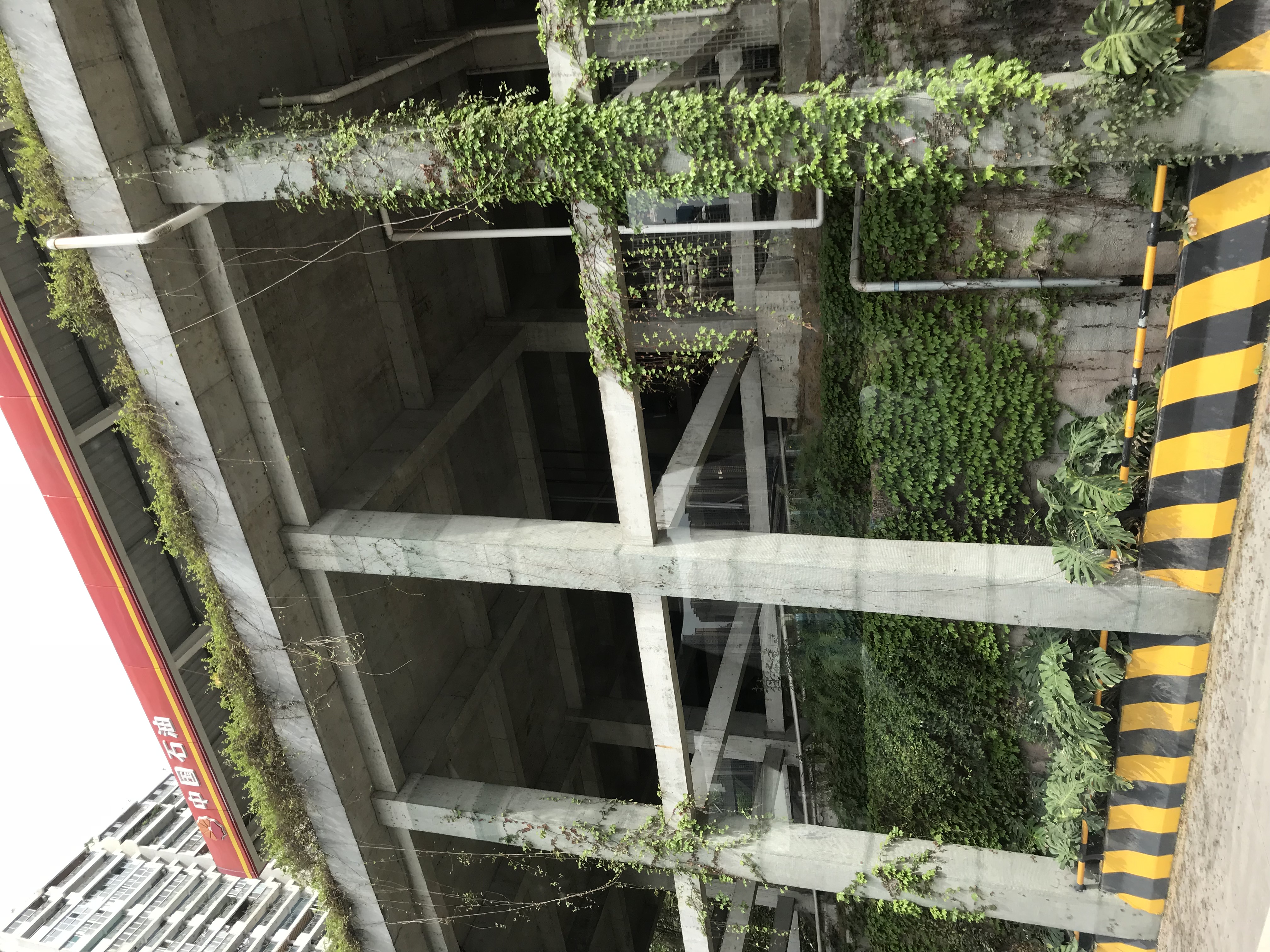 ./2018/03 - Viking China/15 - Chongqing/IMG_7085.JPG